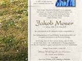 Jakob+Moser+(%2b10.03.2021)+-+Grabnummer+C+19